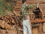 Manual press log round wood sticks cut off saw max. cut off diameter 250mm